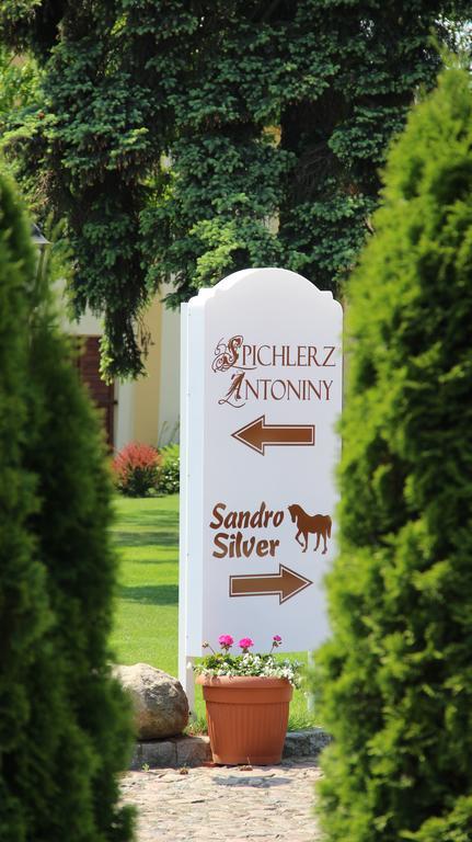 Hotel Sandro Silver & Spichlerz Antoniny Leszno  Exterior foto